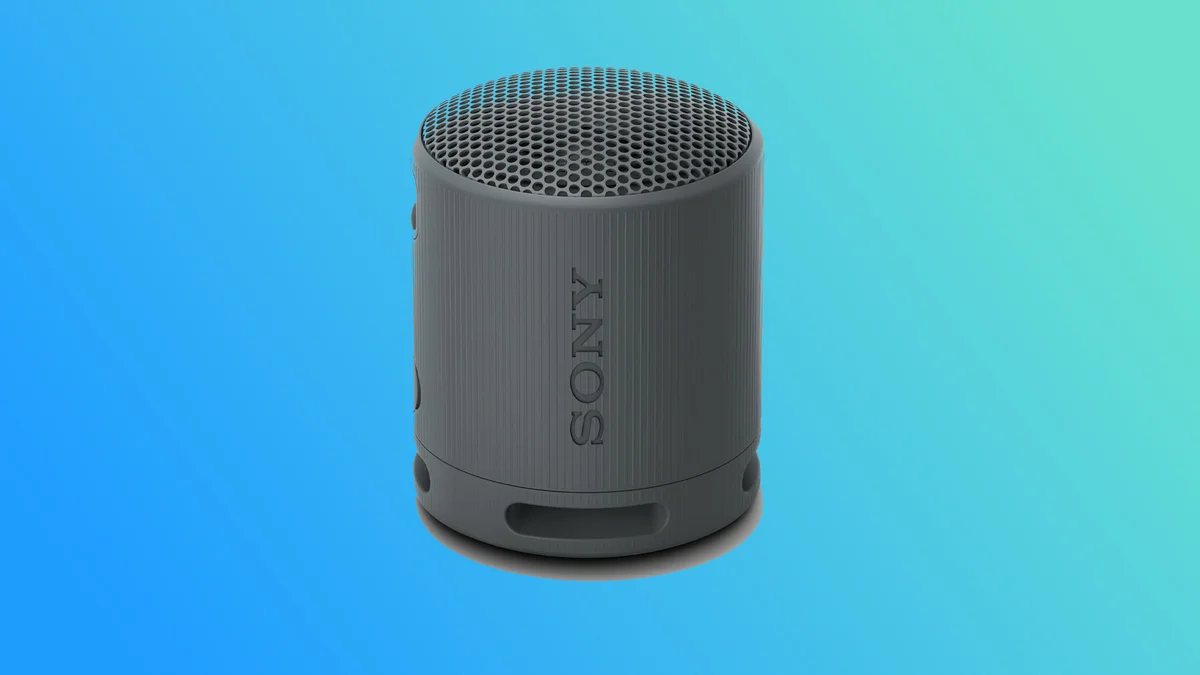 Sony XB100